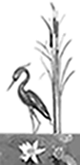 Logo Donna Rothert PhD